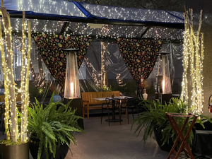 The Vault Garden