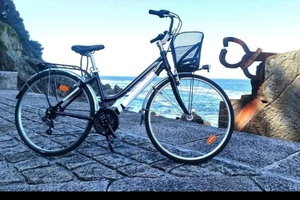 Bike tour with FREE snack & drink!