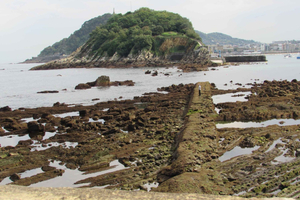 Donostia San Sebastián: Visita geológica guiada