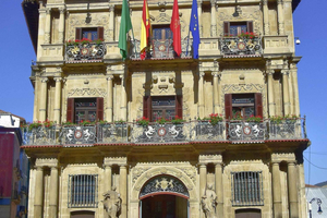 Pamplona private guided tour of city & old town