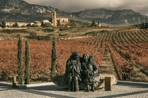 Rioja prestige: winery experience from San Sebastián
