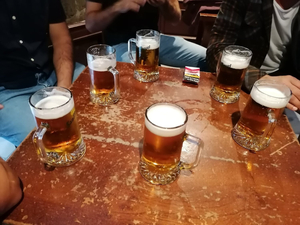 Iguana taberna