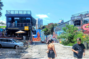 Best São Paulo City Tour Culture 5Hours Private