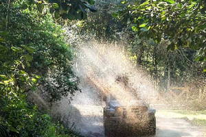 São Paulo: 4x4 Off-Road Adventure Tour in the Atlantic Rainforest