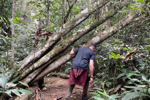 São Paulo: Viagem de um Dia à Mata Atlântica com Biólogo