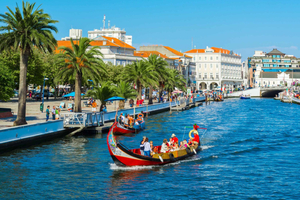 Aveiro: halfdaagse tour vanuit Porto met optionele rondvaart