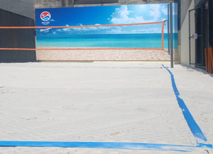 Backyard Beach Sports