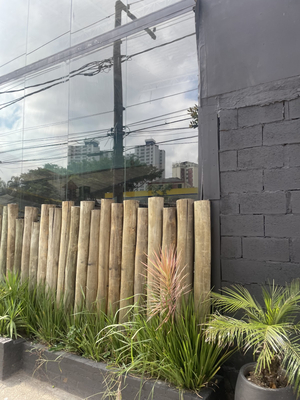 CK Beach - Vila Mascote