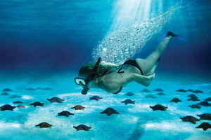 Cozumel: El Cielo e Palancar Snorkel com Open Bar e Ceviche