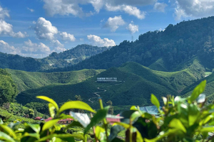 A partir de Kuala Lumpur: Excursão de um dia a Cameron Highlands com almoço