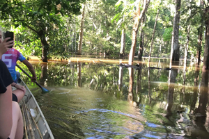 Vanuit Manaus: Eendaagse ervaring in het Amazonewoud