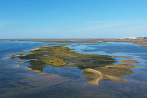 Ria Formosa: Armona en Culatra-eilanden 3-uur rondvaart