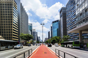 São Paulo: Stadsrondleiding met gids door de hoogtepunten van de stad