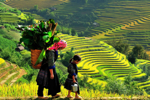 Sapa: 3-daagse trektocht en hotel met overnachting per trein