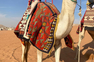 Al-Qasim: Desert Safari, Heritage, and Arabian Hospitality