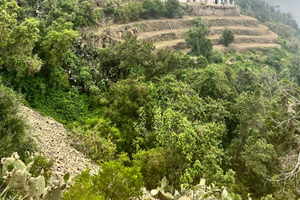 From Abha: 6-hour Sawda Mountains Hiking Adventure