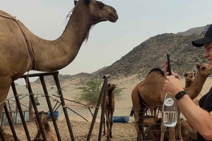 From Jeddah: Desert Tour with Camel Farm Visit & Sunset Tea