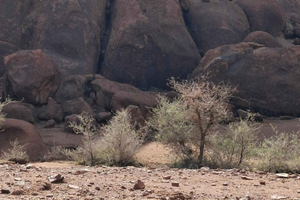 Hail: excursão guiada à Cratera de Hutaymah e ao Deserto de Tabah