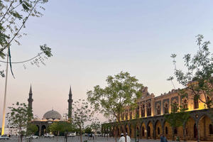 Kulturarv och elegans i Al-Hay, Medina