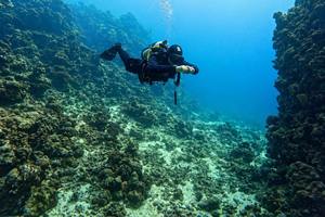 Jeddah: Dykning, snorkling, fritid och fiskebåttur