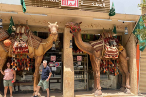 Riyadh City Tour VIP Experience