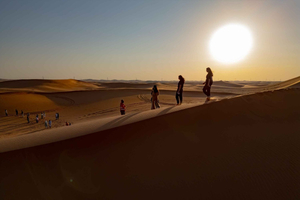 Riyadh: Red Sands Safari & Camp