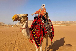 Riyadh: Sandklitter i ørkenen (kamelridning + ATV)