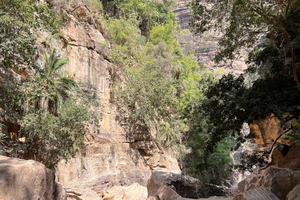 Wadi Lajab Canyon vandringstur