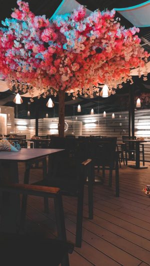Anov lounge