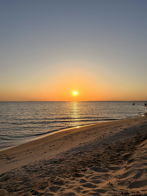 Half moon beach swimming