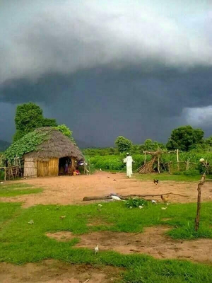 جندب