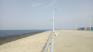 Sea Beach