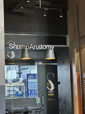 Shrimp Anatomy