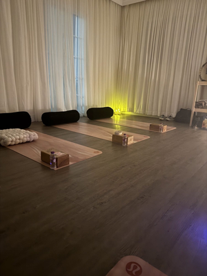 The Wellness Room
