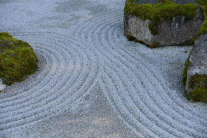 Bainbridge Island Discovery and Bloedel Reserve Tour
