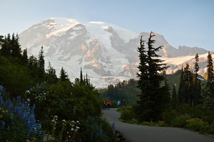 Best of Mount Rainier National Park from All-Inclusive Small-Group Tour