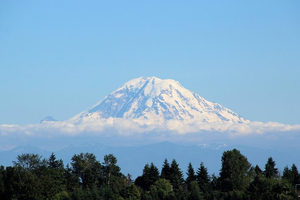From Seattle:Hiking in Mount Rainier Private Tour