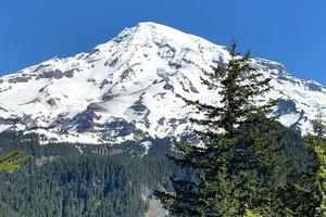 Guided hike on Mt. Rainier - old forest, falls and glacier views