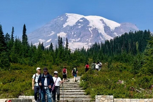Mount Rainier Private Full Day — Sprinter Van or SUV