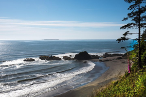 Olympic National Park Day Tour from Seattle
