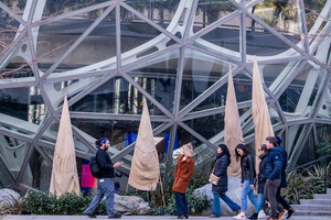 Street Food Tour of South Lake Union- Area of Amazon Spheres