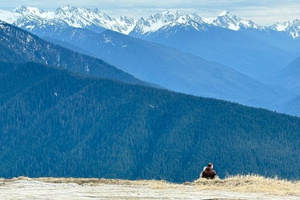 Touring Olympic National Park, Mountains, Lake, and Rainforest