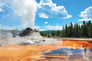 Yellowstone Grand Teton and Coeur d’Alene 5-Day Tour from Seattle