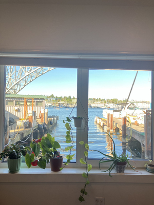Centerpoint Wellness Northwest