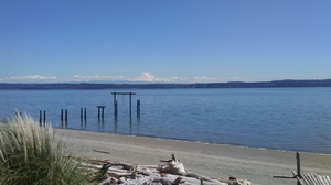 Gold Beach Community Club