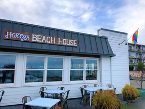 Harry's Beach House