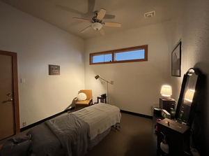 Ladybird Massage and Wellness Co., PLLC