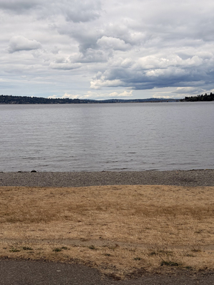 Seward Park North Beach