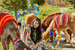Soul: Alpaca World ja Namin saari, valinnaisena Gangchonin rautatiepyöräily
