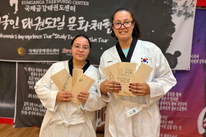 Authentic Korean Taekwondo Cultural Experience